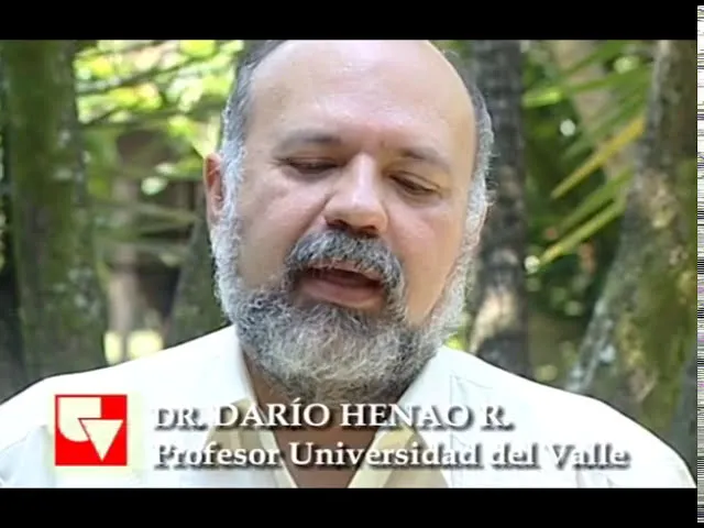 Darío en tiempos de letras